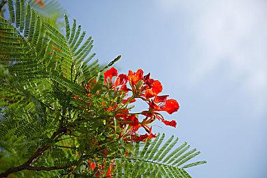 《最后的生还者：重制版》辅助功能介绍：调整难度更细化等